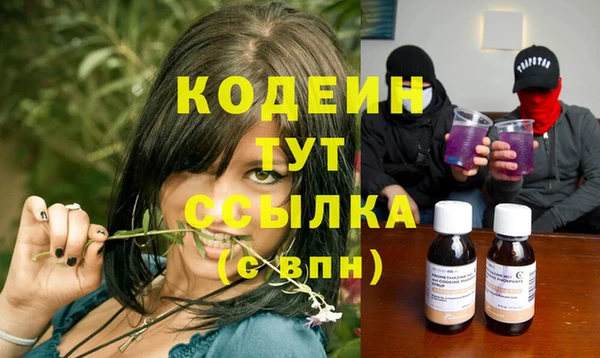 МДПВ Болотное